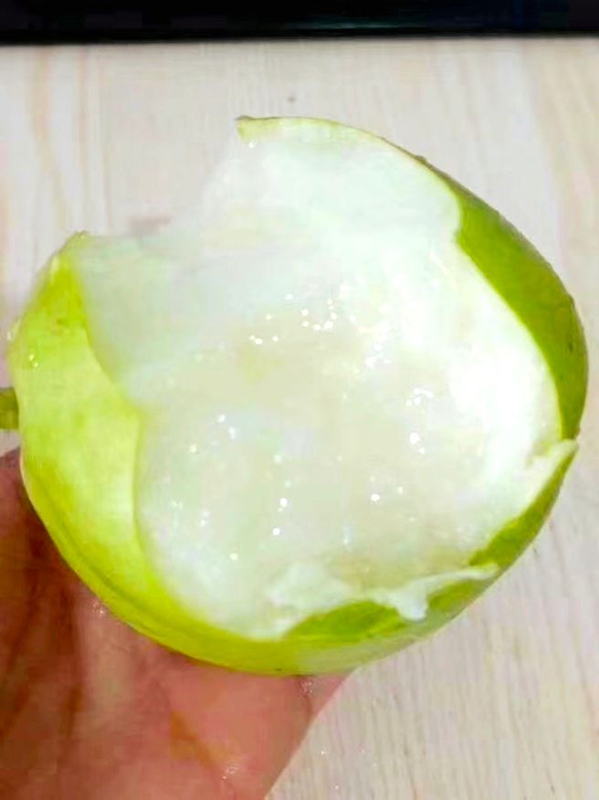  新鲜水果当季早酥梨青皮水分丰富酥脆爽口现摘先发包邮