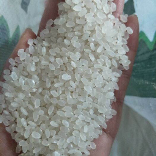 东北大米 一等品 一季稻 粳米