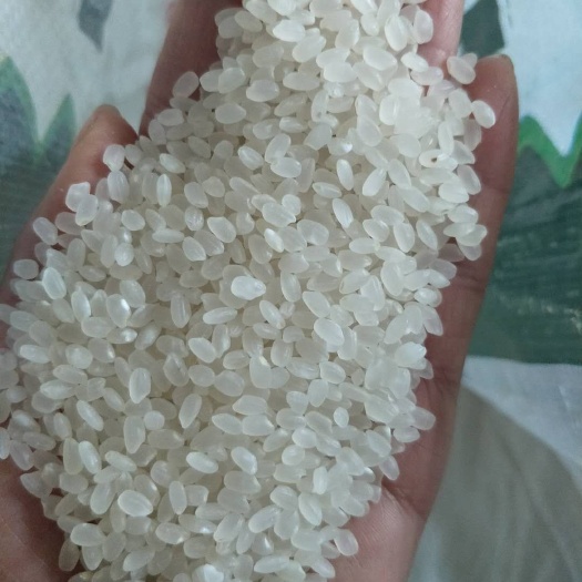 富锦市东北大米 一等品 一季稻 粳米