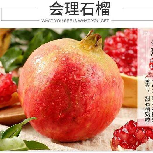 会理市 会理石榴各种品质软仔硬仔