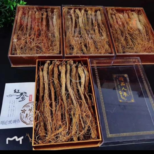 集安市 批发人参