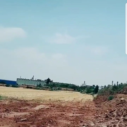 济源市果园 土地征用