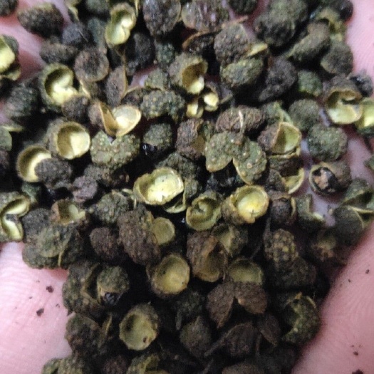 厦门白胡椒 我们只做良心的生意，欢迎您来订购