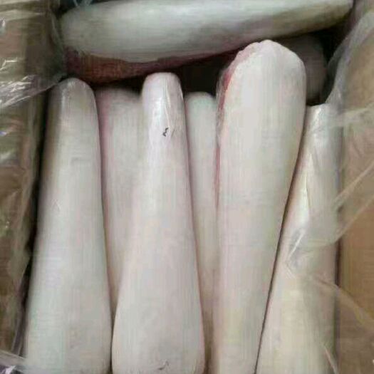 阳信县牛舌