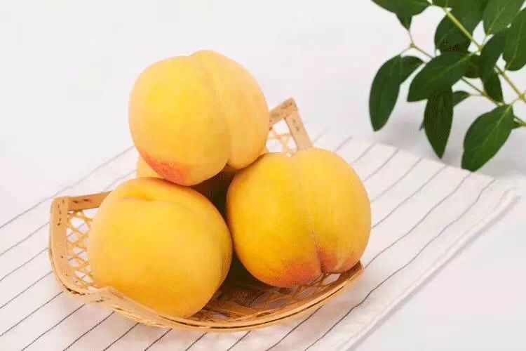 炎陵黄桃 陶醉天下