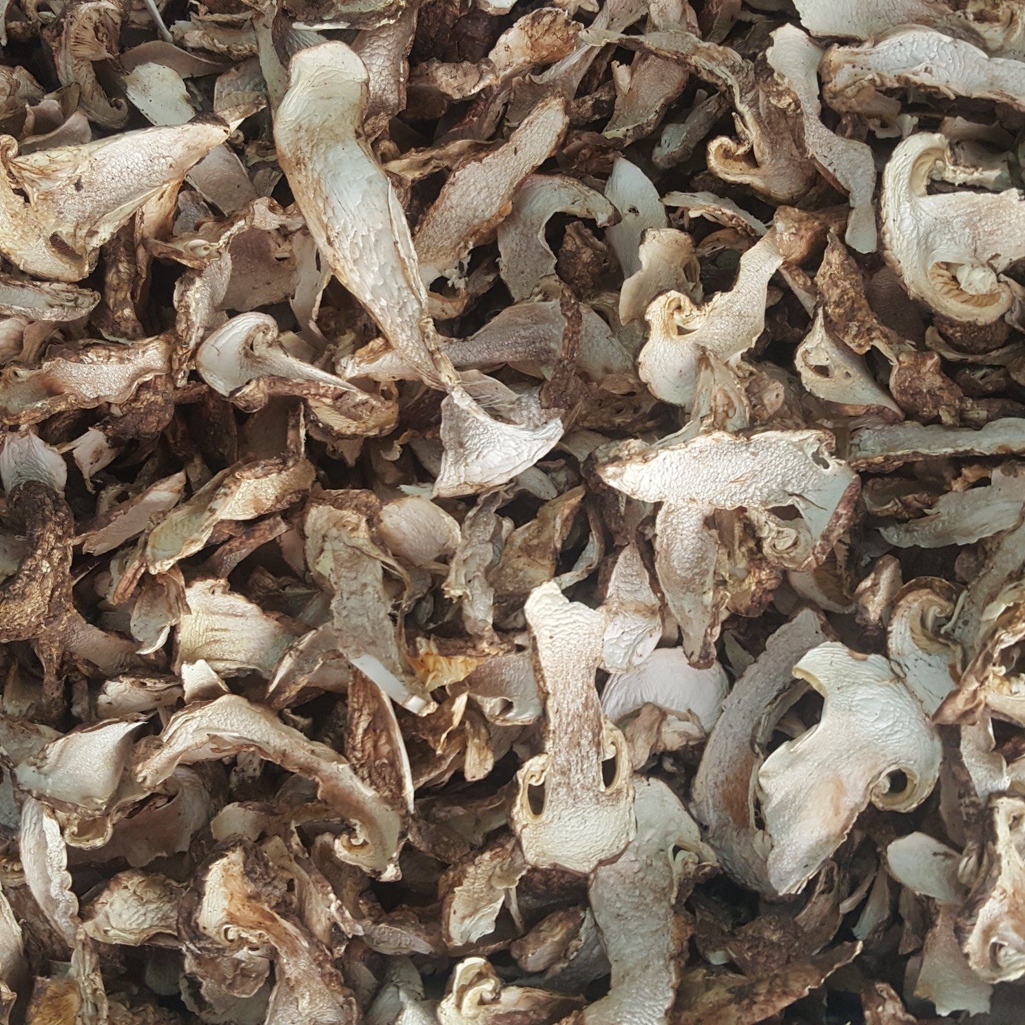 松耸 松茸的吃法