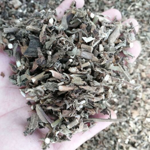 雷州市 广藿香种植地源头直销