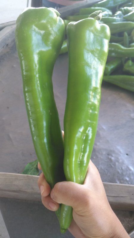  辣椒大量上市！