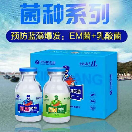 郑州水产EM菌培养基 预防蓝藻爆发