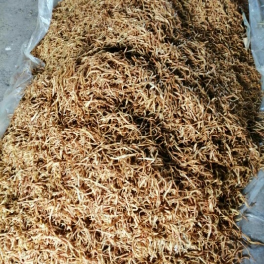 邵东市五月花 一级 散装