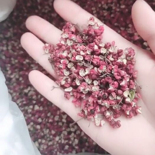 陇南 大红袍干花椒 伏椒 特级