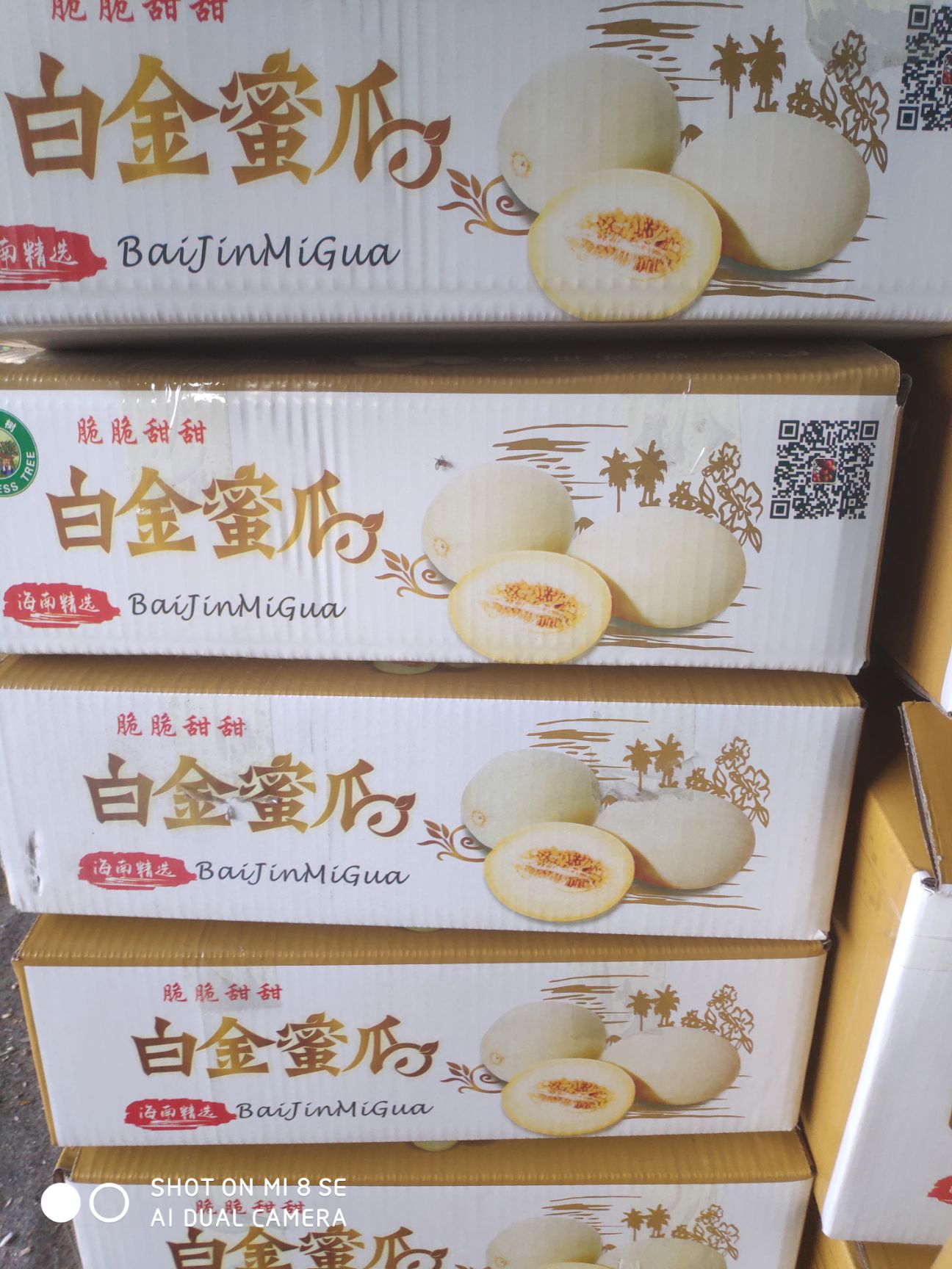  脆梨甜瓜