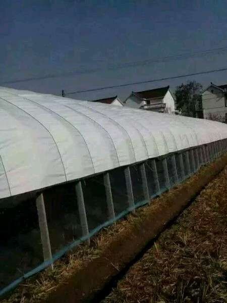 怀远县 专业搭建养殖大棚