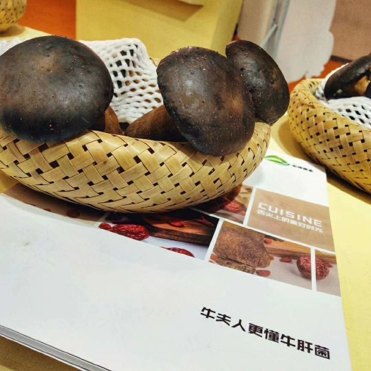 景洪市普通牛肝菌 鲜牛肝菌 人工种植