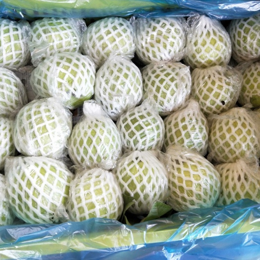 廉江市白心番石榴 质量保证，可以放心
