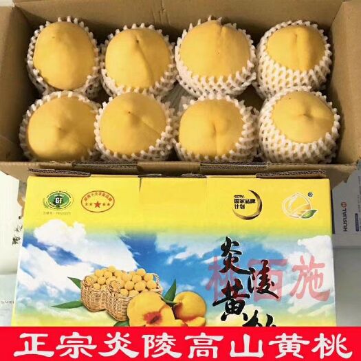 炎陵县 炎陵黄桃一件代发5斤装10斤装顺丰包邮