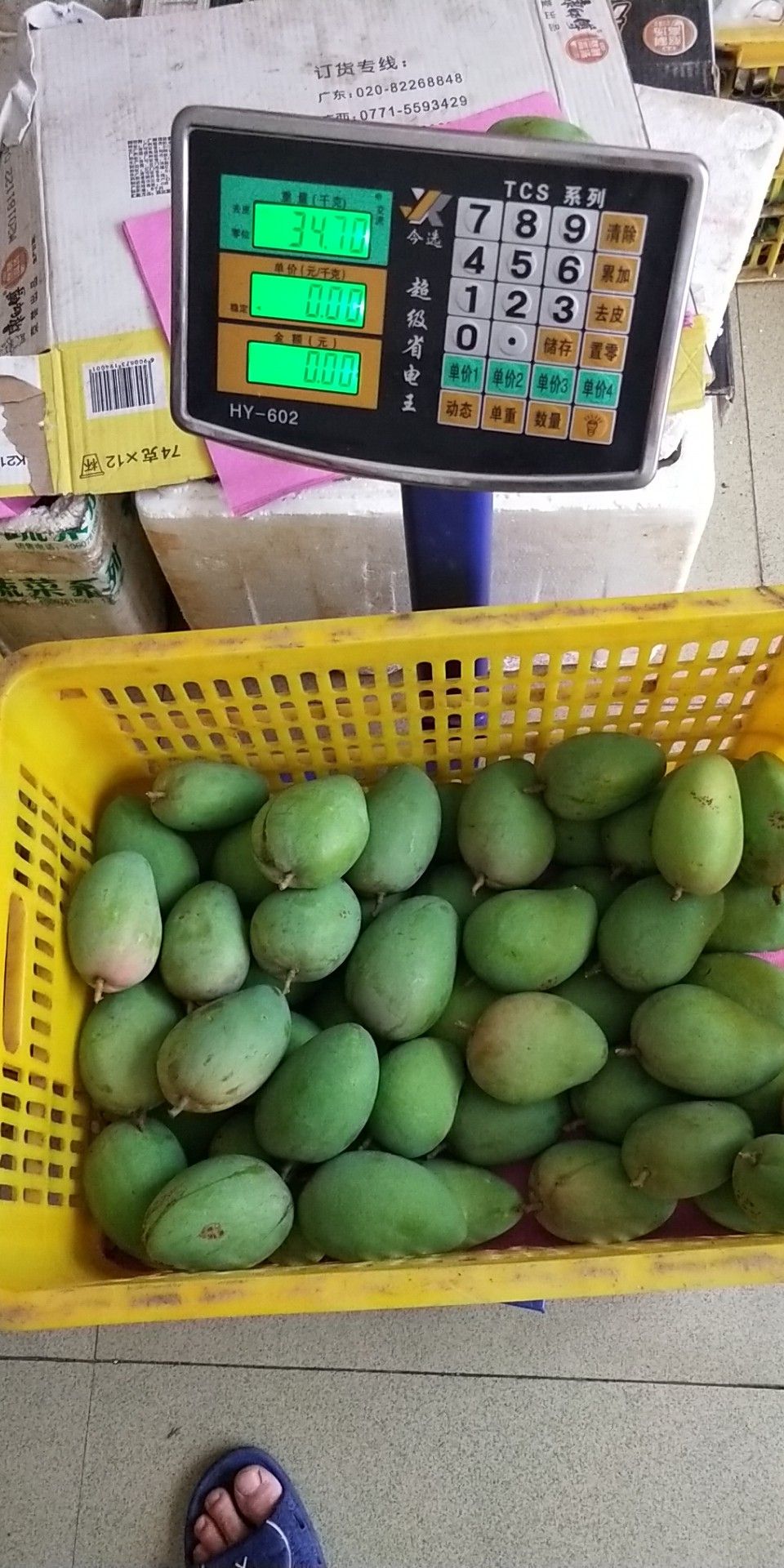  迷你超小台农芒果全国包邮十斤装