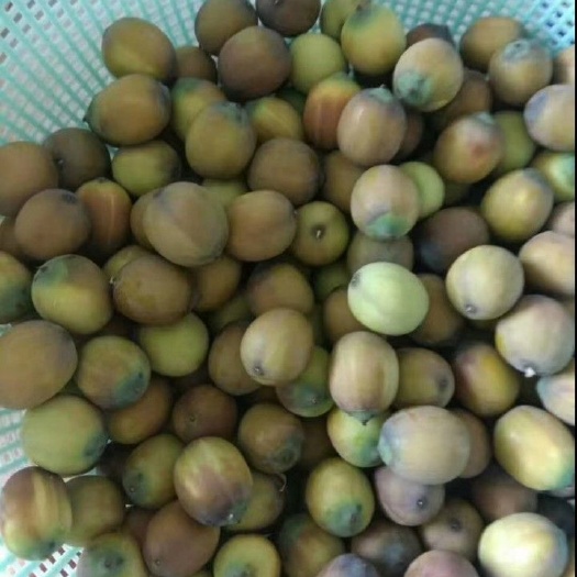 瑞金市青莲子