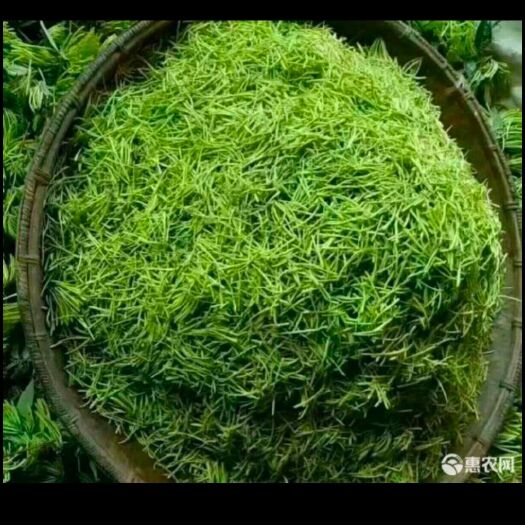 隆回县山银花 供应优质的货源