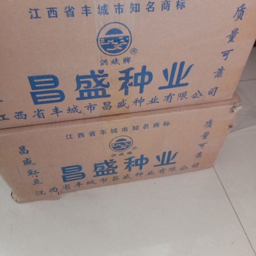开封长豇豆 40cm~70cm