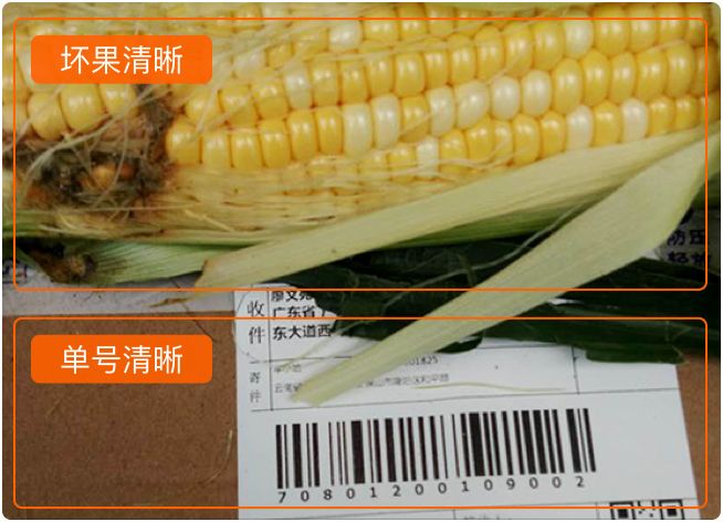  广西冰糖红心木瓜9斤包邮牛奶青木瓜应季新鲜水果批发香甜多汁