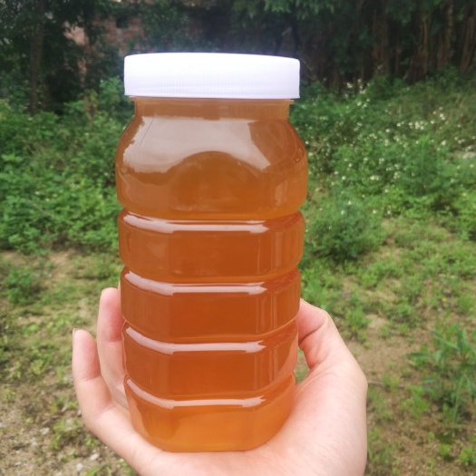 平南县 蜂蜜   荔枝蜜  自产自销优质蜂蜜