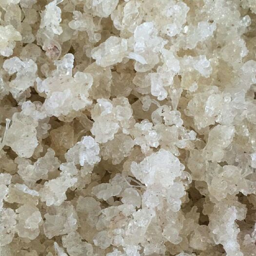 织金县雪燕 散装 12-18个月