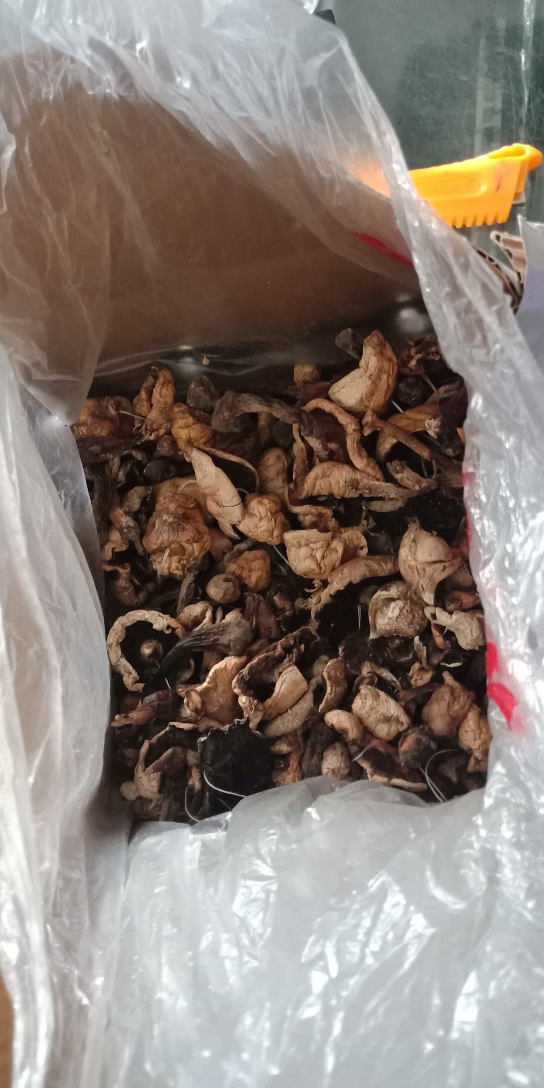 菰 高原蘑菇！
