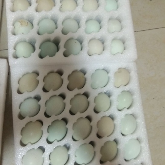 剑阁县 纯粮食绿壳鸡蛋，数量有限适合自己吃和送礼佳品。