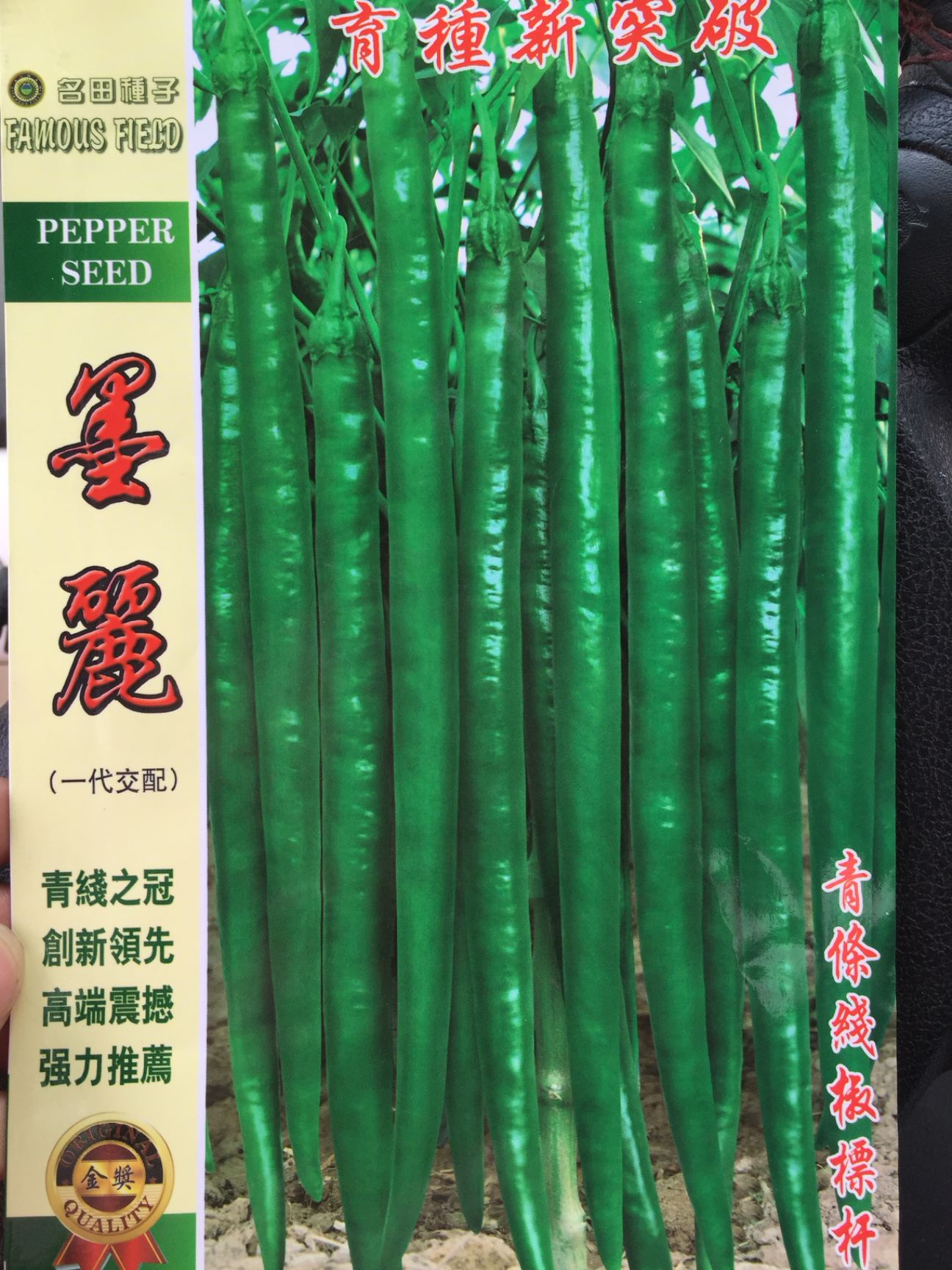 线椒种子  青条，中早熟，颜色好硬度高籽粒多，辣度浓