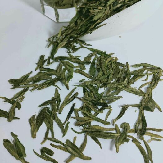 新昌县龙井茶 高山豆香浓味龙井