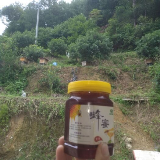 罗甸县 土蜂蜜 天然蜂蜜 百花蜜
