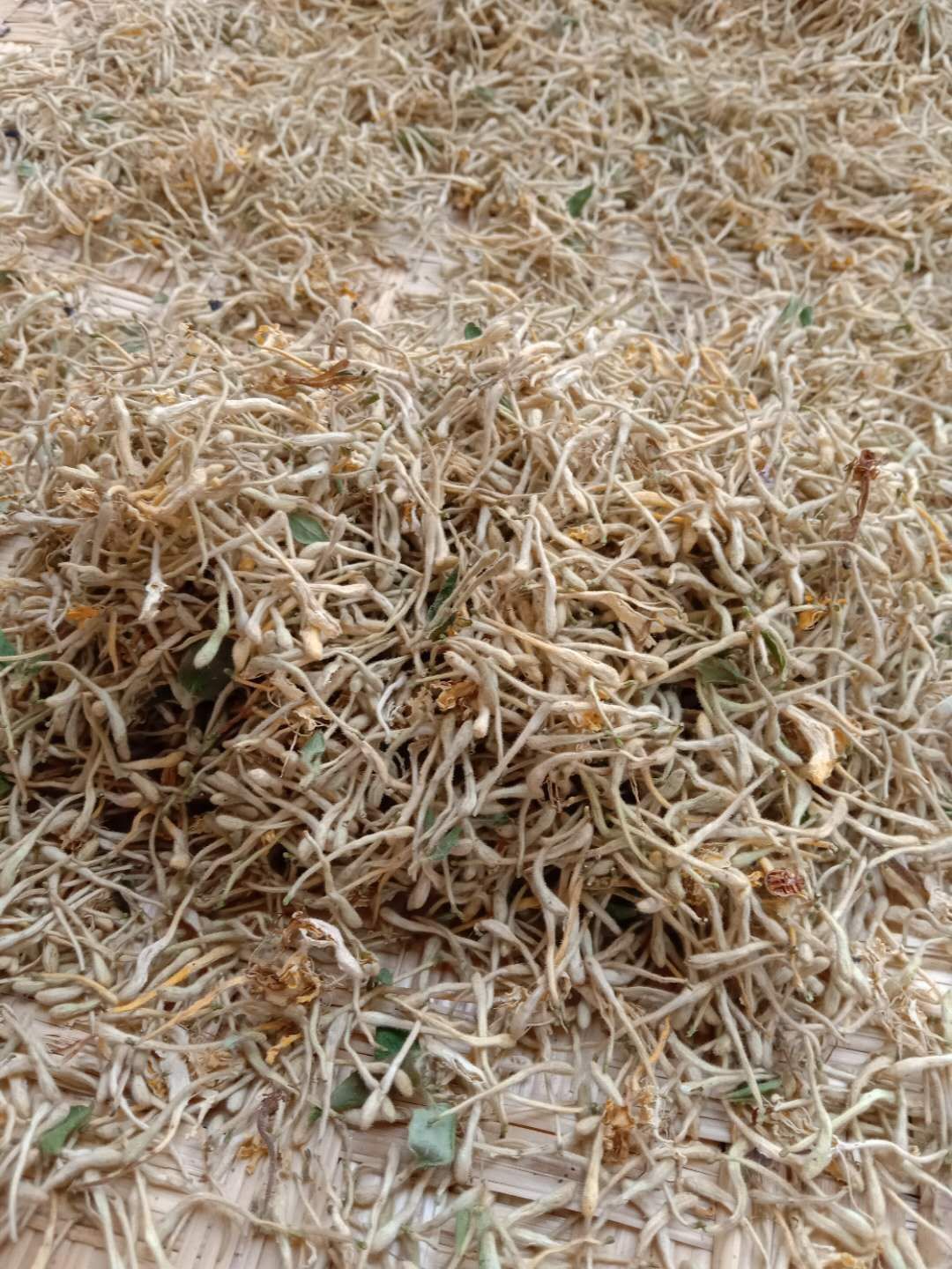  天然金银花茶