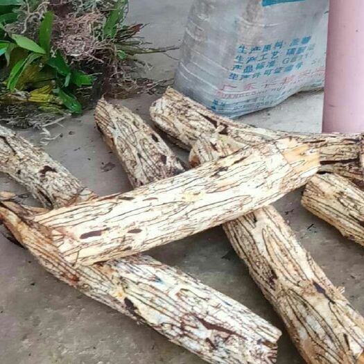 沧源县龙骨