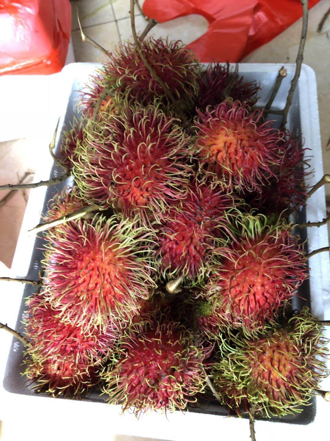  很新鲜的红毛丹  在不下手就要涨价了