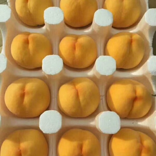 蒙阴县 正宗自己家沂蒙山水蜜桃，口感好，现摘现发，价格实惠，物美价
