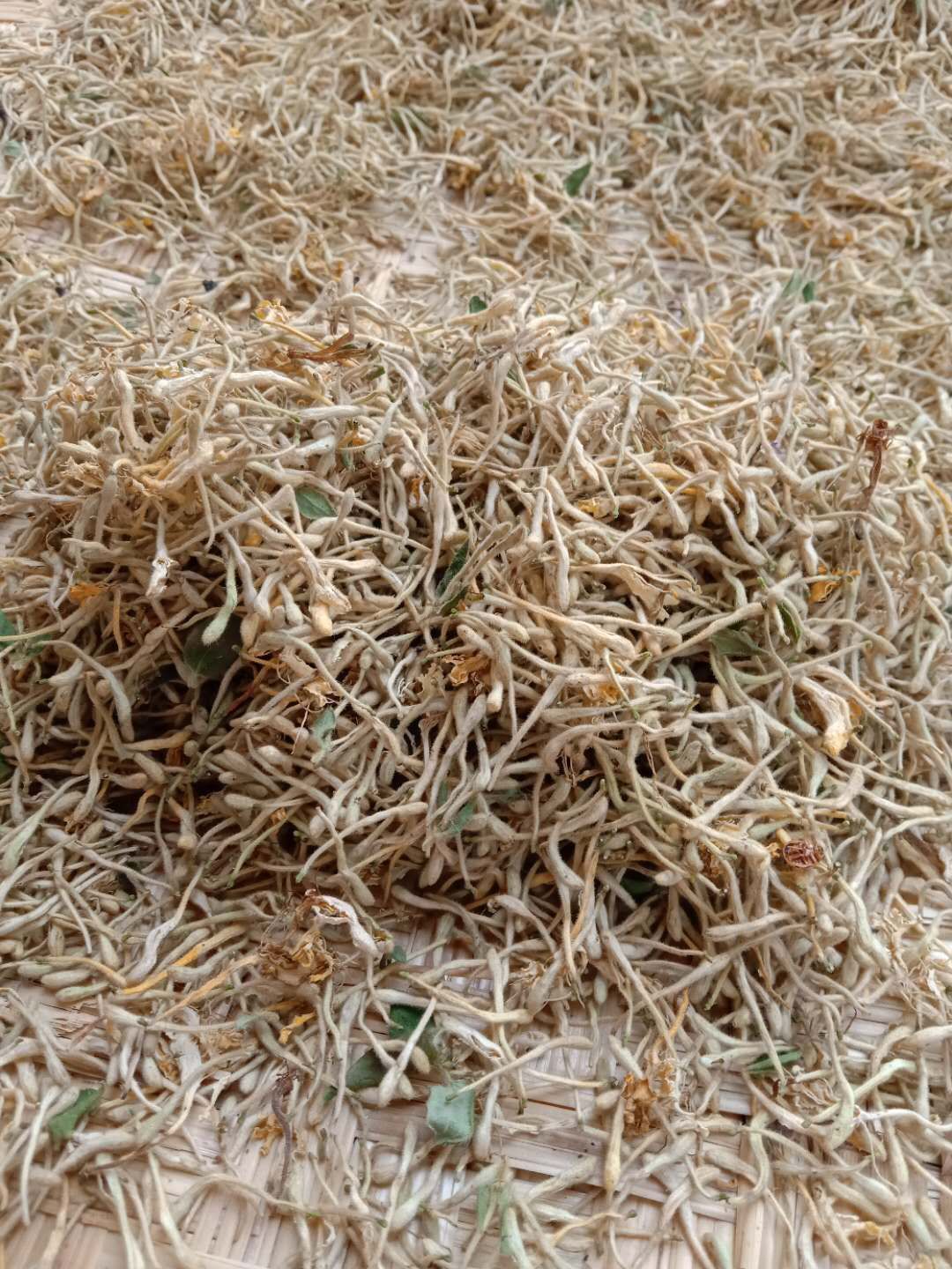  天然金银花茶