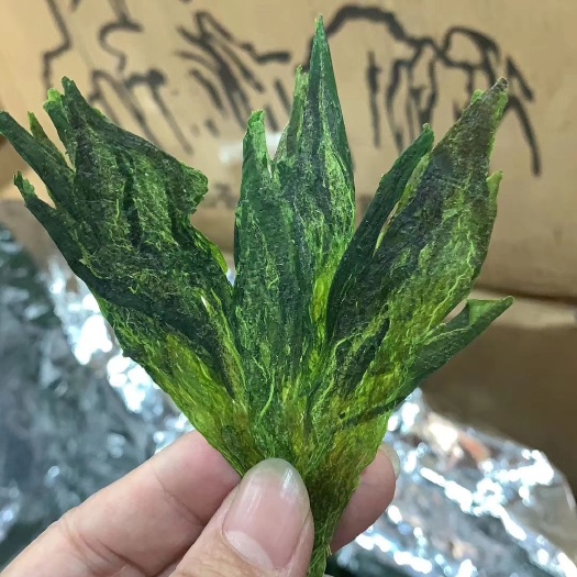安吉县太平猴魁特级500g