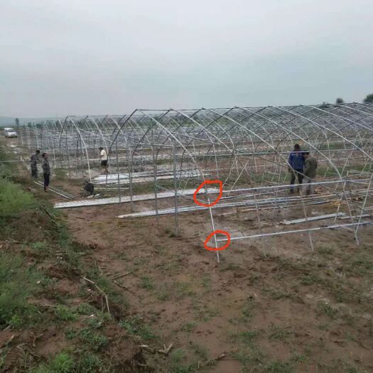 沭阳县种植大棚 蔬菜  养殖棚专业定制  非常规规划设计