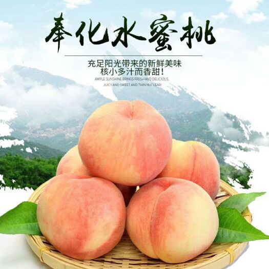 宁波奉化水蜜桃 琼浆玉露，