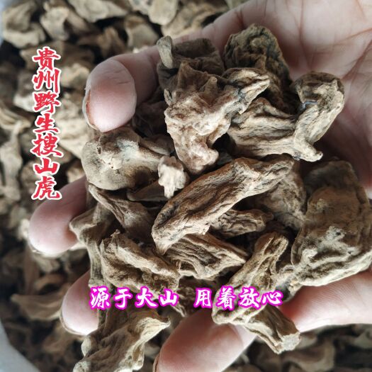 纳雍县中药材 贵州中草药材搜山虎 苗家土药山洋芋 万年杷万