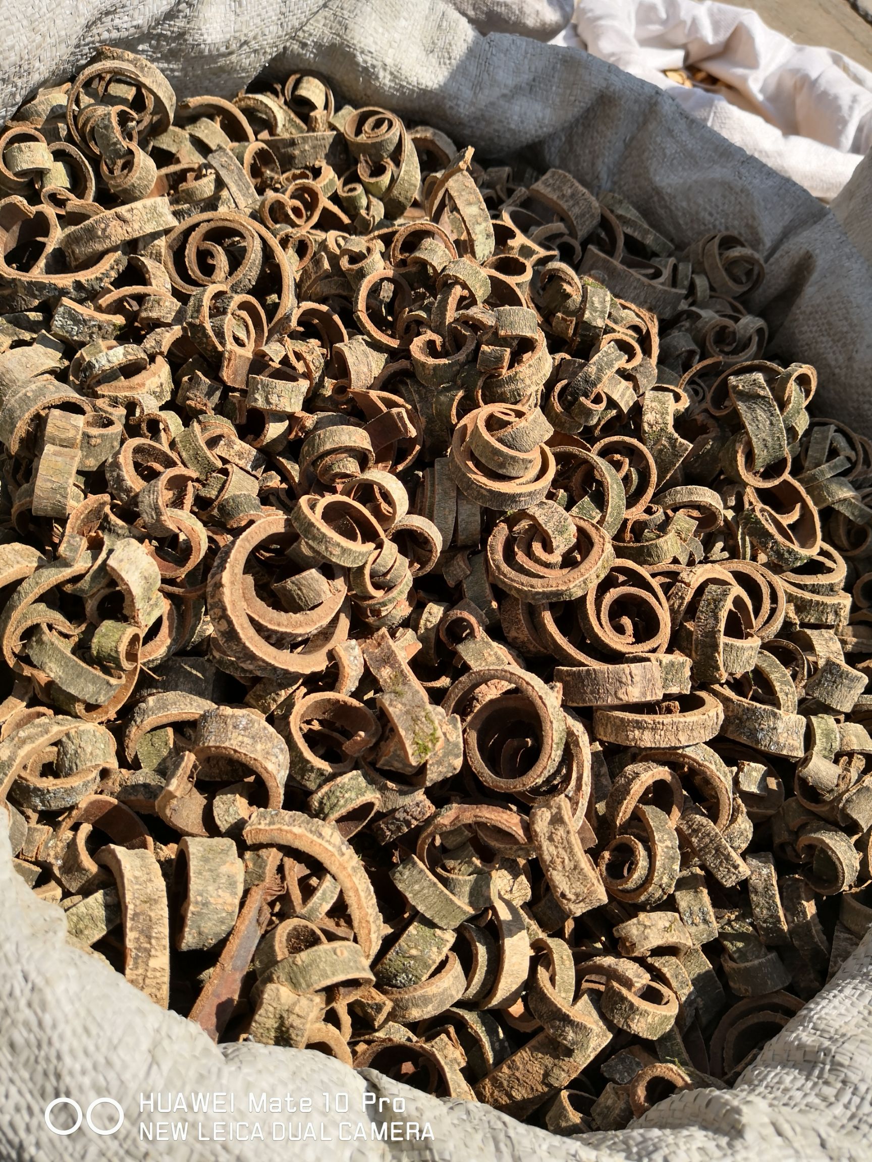 川朴  厚朴 干货 黑皮选货