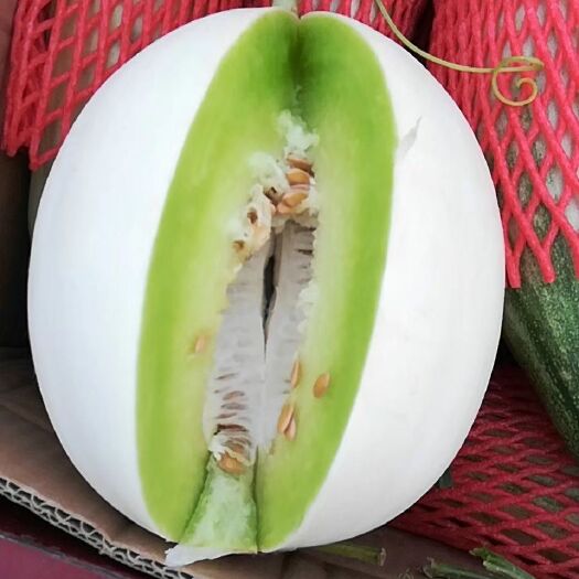 滑县 万亩甜瓜基地，几十个品种任您挑选!