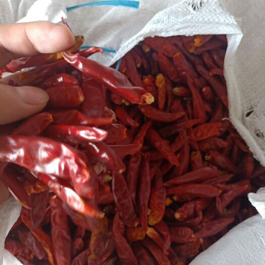 郑州干辣椒  三樱椒香辣 八号微辣 ，颜色鲜艳精品货
