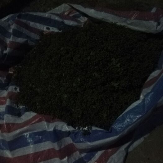 渭南青花椒 一级 鲜花椒