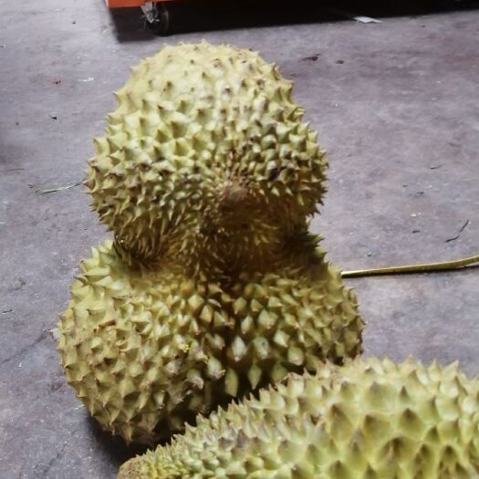 昆明 好运榴莲