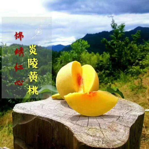 炎陵县 黄桃，奈李