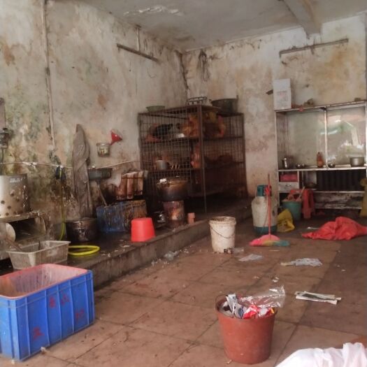 容县 放山鸡，土鸡土鸭，土狗