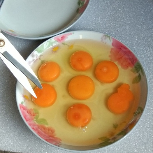 泰兴市 绿壳鸡蛋和草鸡蛋