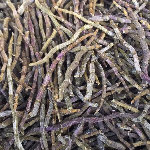 嘉兴 特粗铁皮石斛短芽条   下单可帮忙磨粉